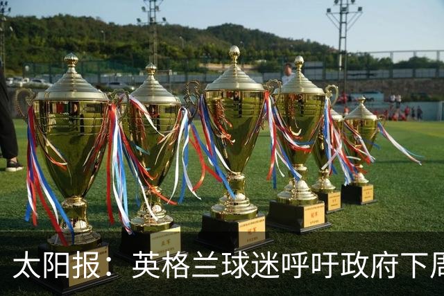太阳报：英格兰球迷呼吁政府下周一放假，以便看对阵墨西哥的比赛