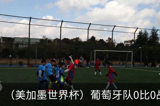 （美加墨世界杯）葡萄牙队0比0战平哥伦比亚队 两队携手出线